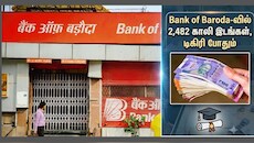 டிகிரி இருக்கா? வங்கி வேலை ரெடியா இருக்கு! 2482 காலியிடங்கள், தமிழகத்தில் மட்டும் 132